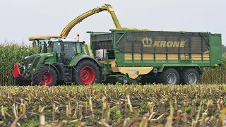 Mais hakselen met Krone Big X 770 | Muller Grondverzet | Maize silage | Steyr | Fendt