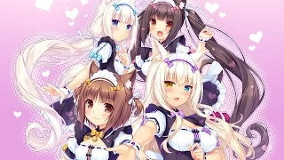 Nekopara 「AMV」- Hello Kitty