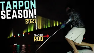 TAMPA BAY TARPON Fishing under Bridges