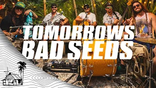 Tomorrows Bad Seeds - Visual Ep (Live Music) | Sugarshack Sessions