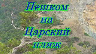 Новый Свет. Пешком на Царский пляж.