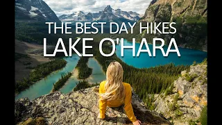 Lake O’Hara Hiking Guide (2023): 7 BEST DAY HIKES in Yoho National Park!