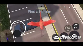How to become a human goat simulator (you need flamingo)