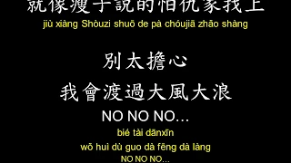 兄弟本色 - 迷途羔羊 歌詞Lyrics拼音Pinyin