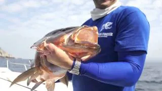 FISH FINDER COLUMBIA CUBERA  [ FISH FINDER ]