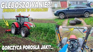 VLOGAS!🔥Makuś dostaje po Gaciach w Głeboszu! Gorczyca porosła... Jak?? Wymiana kół w Pastuchu!🔧