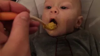 Baby Reef enjoying food a little too much!