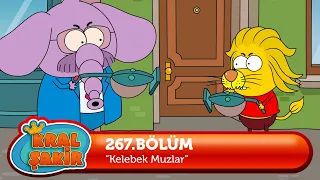 Kral Şakir 267. Bölüm - Kelebek Muzlar