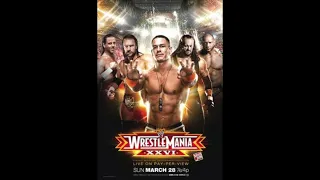 WWE Wrestlemania XXVI PPV Review Remix