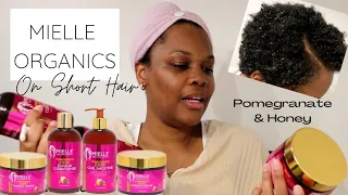 MIELLE ORGANICS ON MY SHORT HAIR | Pomegranate & Honey | Shackeria Sharona