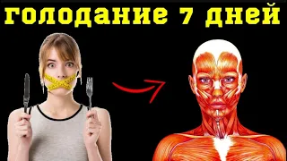 Что произойдет, если морить себя голодом 7 дней? Голодание 7 дней...