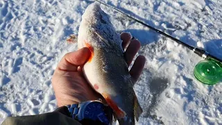 Зимняя рыбалка 05.03.23 на прудах верхнем и нижнем в п. Солнцево Губкинского р-на Белгородской обл.