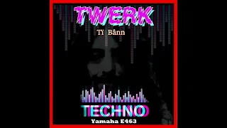 TWERK    Techno Twerk of Tï Bânn