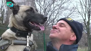 Собака Уна з Дніпра отримала нагороду «За віддану службу»