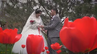 Свадебный клип Лёши и Сони 12 апреля 2024 г