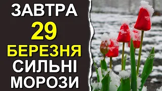 ПОГОДА НА ЗАВТРА: 29 БЕРЕЗНЯ 2023 | Точна погода на день в Україні