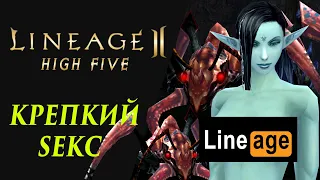 Тайны пустошей или слепое отчаяние и былое величие гномов | Моя Хроника Lineage 2 High Five