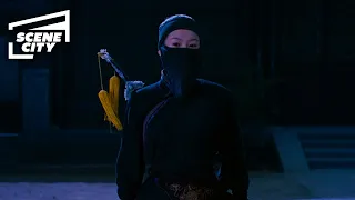 Crouching Tiger, Hidden Dragon: The Sword Thief (HD Scene)