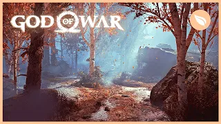 GOD OF WAR Forest Ambience | No Soundtrack | Peaceful Nature Sounds | 1 HOUR