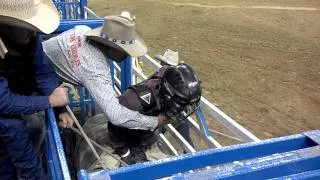 Lone star Rodeo