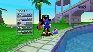 Did my chao just fly