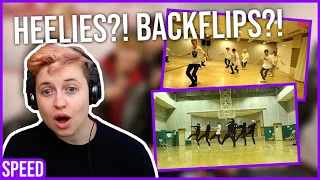 FIRST REACTION to SPEED - 놀리러 간다 (DON'T TEASE ME!) & WHAT U DANCE PRACTICES