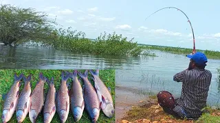 Hook fishing Technique | Rohu Fish Catching | 2 Hook fishing Technique | Fishing Video