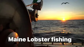 Maine Lobster fishing! #4