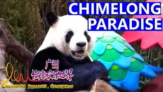 Китай. Гуанчжоу. Chimelong Paradise - Самый Большой Парк Развлечений в Китае. Сафари Парк и Цирк