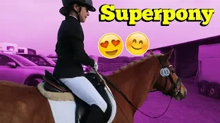 MEINE ERSTE DRESSURREITER A PRÜFUNG! 💪😍 | Marina und die Ponys