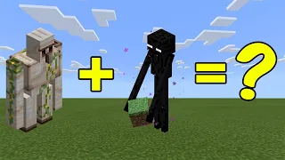 I Combined an Iron Golem and an Enderman in Minecraft - Here's WHAT Happened...