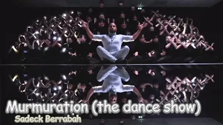 Murmuration (the dance show), Sadeck Berrabah.