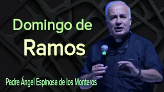 Padre Ángel Espinosa de los Monteros - Domingo de Ramos - part 2
