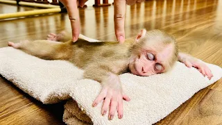 So Cute! Bibi fell into relaxing sleep after taking bath