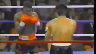 Meldrick Taylor vs. Roque Montoya - Combinations