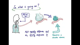 The Concentration Effect and Second Gas Effect