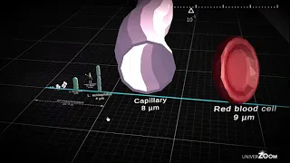 UniverZoom, Universe Size Comparson