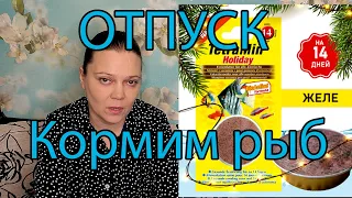 Корма выходного дня. Кормление рыбок во время отпуска. Tetra Holiday желе и Зоомир РЫБята каникулы