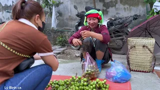 Explore Riverside Life: Harvesting Figs and Fishing | Lý Bình Ca.