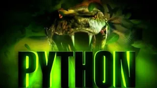 Python a cobra assassina ( lançamento 2020)