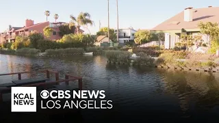 Arrest in Venice attacks, Aiden Leos' killer sentenced, "The Talk" ending