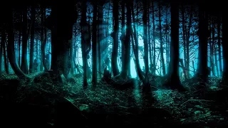 Custodes Noctis 🍄 Forest Psytrance Mix 🍄 Dark Forest Trip Set 🍄