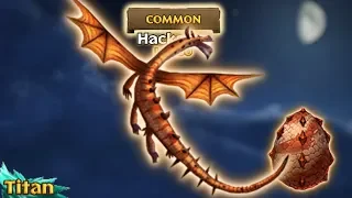 Hackatoo Max Level 150 Titan Mode | Dragons: Rise of Berk