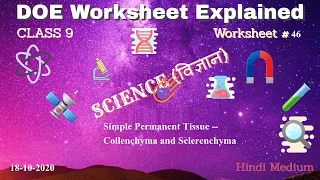 Worksheet 46 Class 9 DOE | 19-10-2020 Simple Permanent Tissue -- Collenchyma and Sclerenchyma |