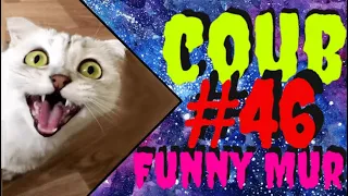 46 Приколы (кубы, coub, коуб, best coub и best cube) - приколы 2021 🔥