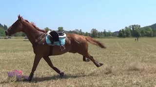 The Comeback - Horse Bloopers 2018