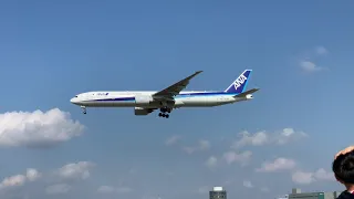 4K 成田三里塚さくらの丘 桜と飛行機
