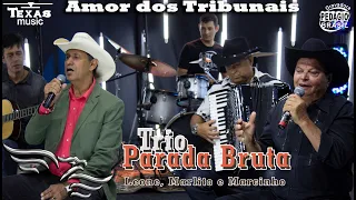 Amor dos Tribunais - TRIO PARADA BRUTA - Leone, Marlito e Marcinho (Gravado no Estúdio Águia Music)