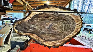 This Log Made me Nervous - Rare Walnut on the Sawmill