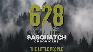 SC EP:628 The Little People